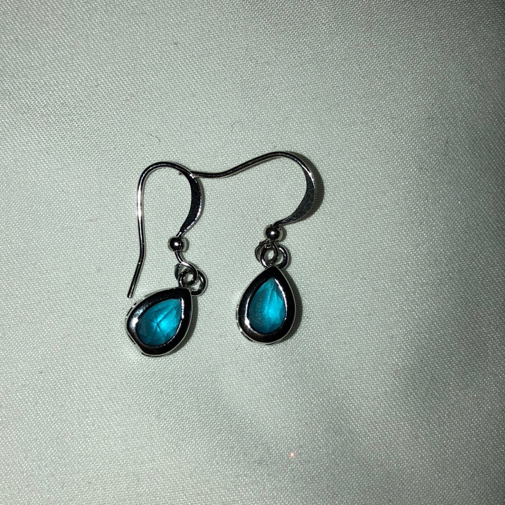 Dangly Earrings